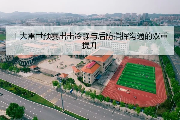 王大雷世预赛出击冷静与后防指挥沟通的双重提升