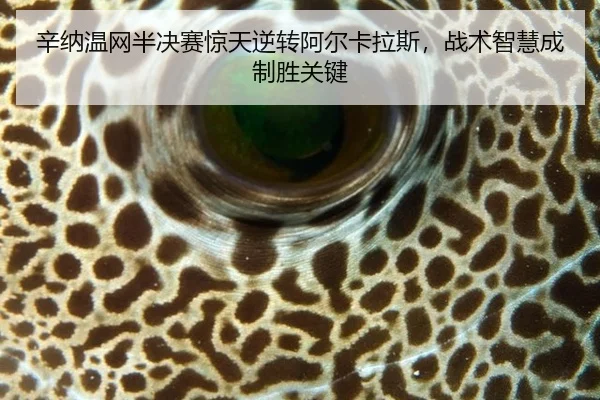 xin-na-wen-wang-ban-jue-sai-jing-tian-ni-zhuan-a-er-ka-la-si-zhan-shu-zhi-hui-cheng-zhi-sheng-guan-jian-3-239.jpg
